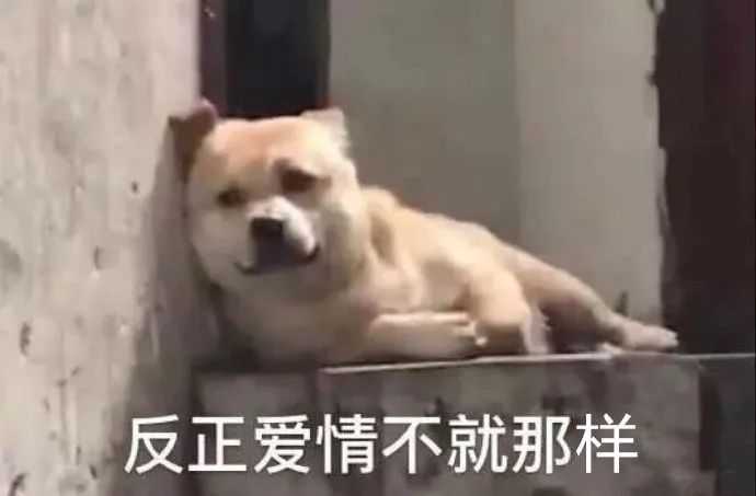 如何以 娘娘 城破了 为开头写一个故事 知乎 如何以 娘娘 城破了 为开头写一个故事 知乎