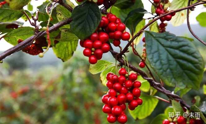 有哪些很文艺的句子 知乎