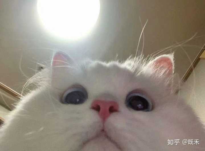 好听的网名女生文艺范两三字 好听的网名女生文艺范两三字