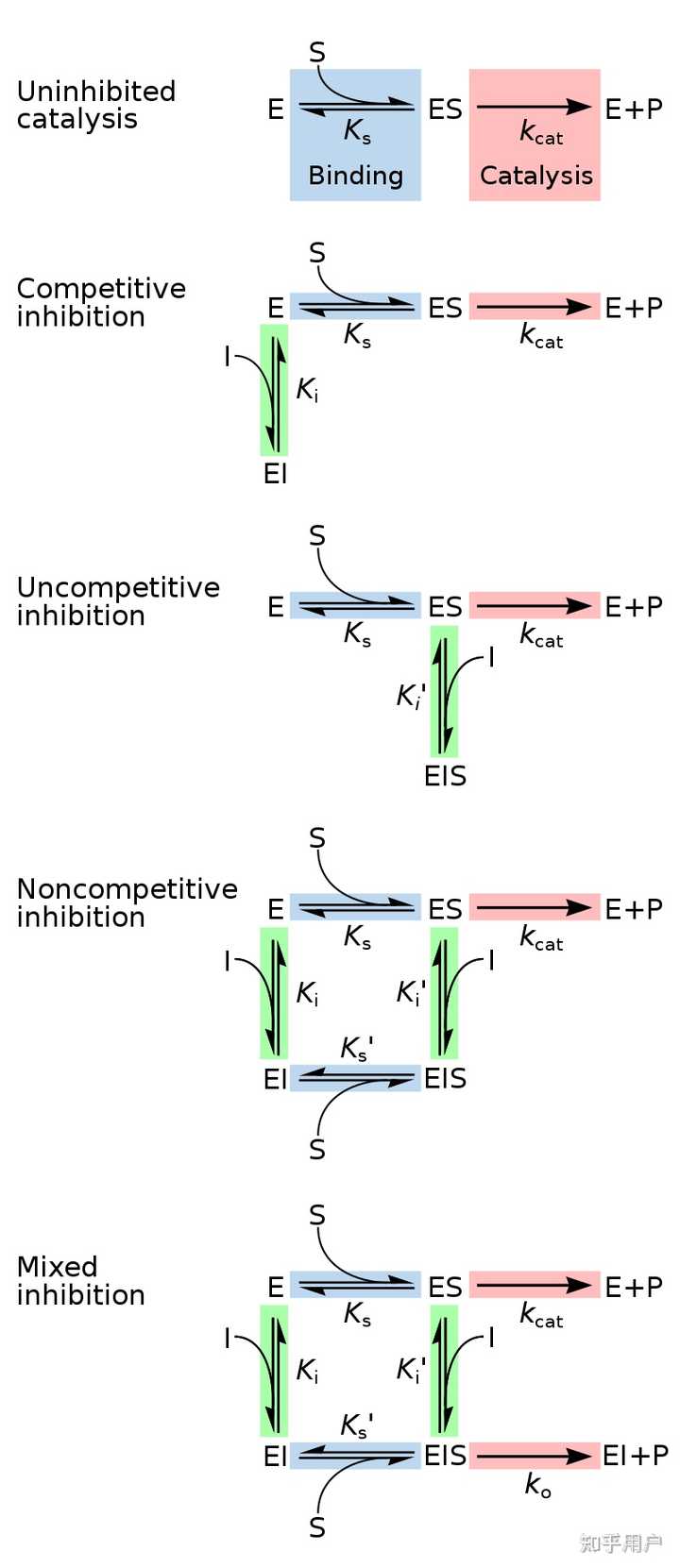 底物浓度对酶促反应的影响曲线到底怎么解释? - 知乎