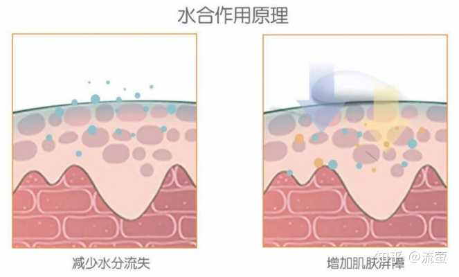 护肤保养沙龙_孕妇护肤保养_护肤保养步骤