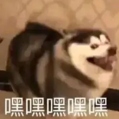 淘宝购物优惠券省钱技巧,告诉你省钱的购物方式插图6 淘宝购物优惠券省钱技巧,告诉你省钱的购物方式插图6