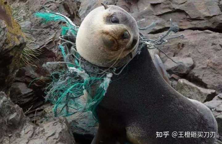 健康化妆品收纳盒_储物盒 收纳_箱盒柜即效收纳365招