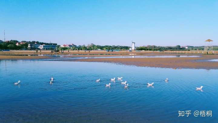 沈阳到北戴河中途景点_沈阳到北戴河旅游景区_沈阳到北戴河三日游