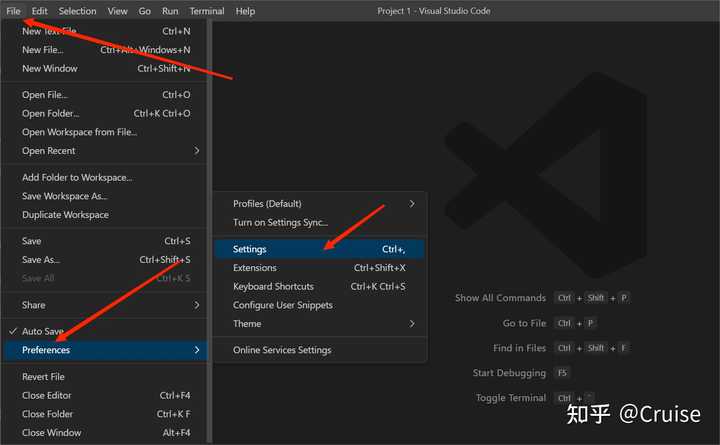 vsCode 出现Code language not supported or defined怎么办？ - 知乎