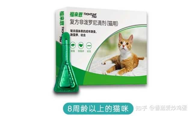 大家养猫一个月的开销大概是多少 知乎