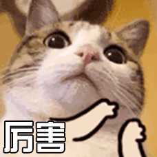 有什么好的关于留学APP推荐?
