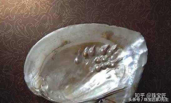 东珠的价值何在？ - 知乎