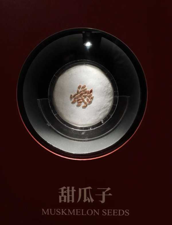 辛追夫人体内里发现138颗香瓜子，海昏侯刘贺体内也发现了瓜子，是不是西汉流行吃香瓜不吐籽？