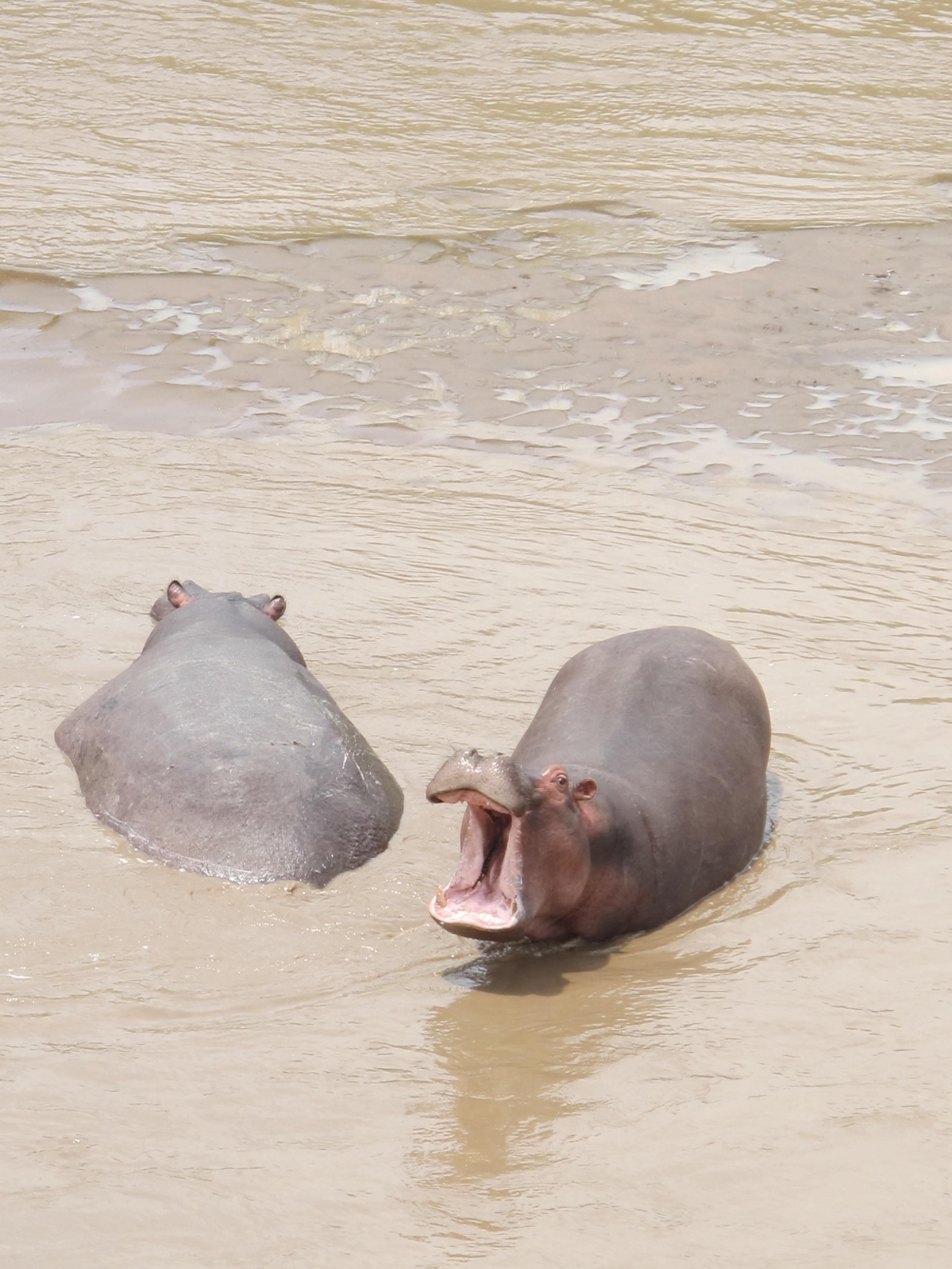 到非洲旅行带 8 岁小朋友同行有哪些需要注意的事项?