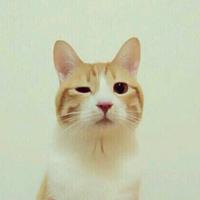 Zhihu profile picture for @souz