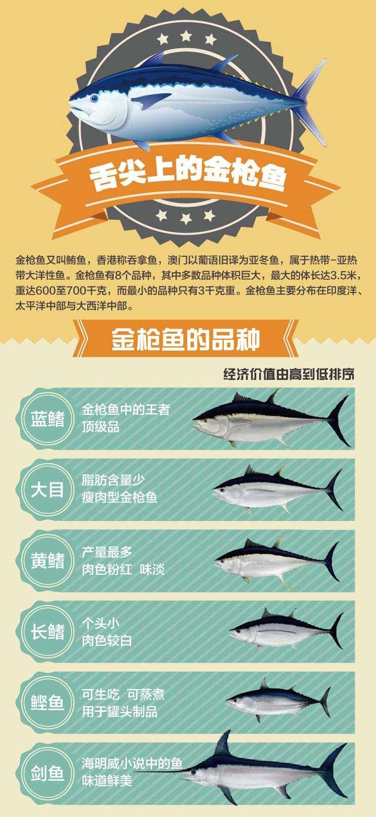 蓝鳍金枪鱼,黄鳍金枪鱼,大目金枪鱼口感有什么区别? 