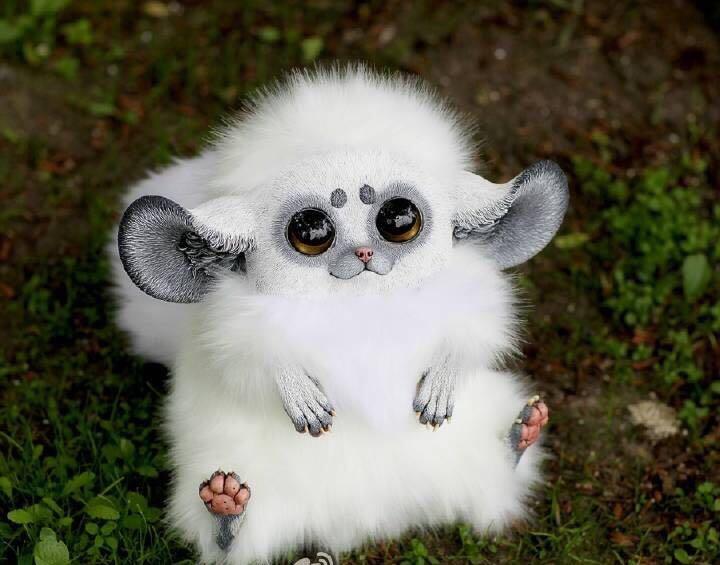 这萌萌哒动物是什么呀? - 知乎