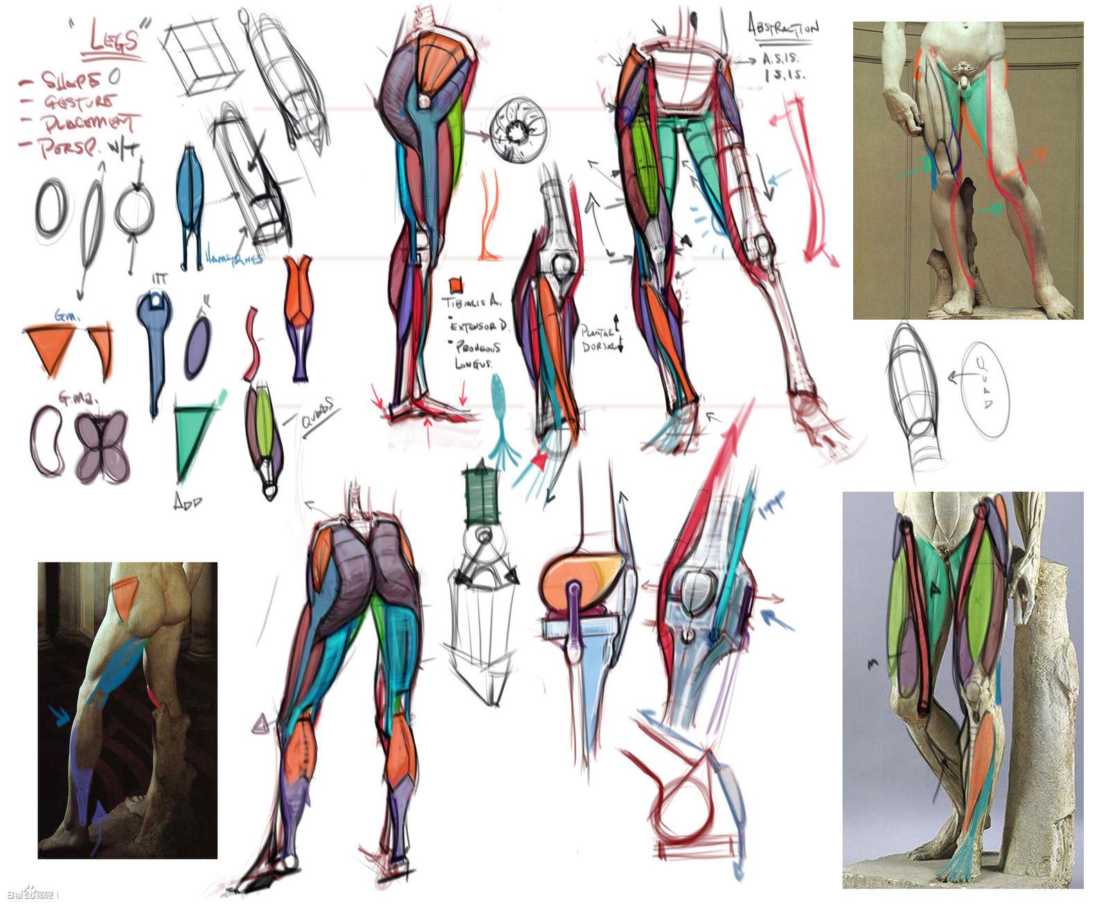 艺用模型对人体结构绘画上的学习具有哪些帮助? - 知乎