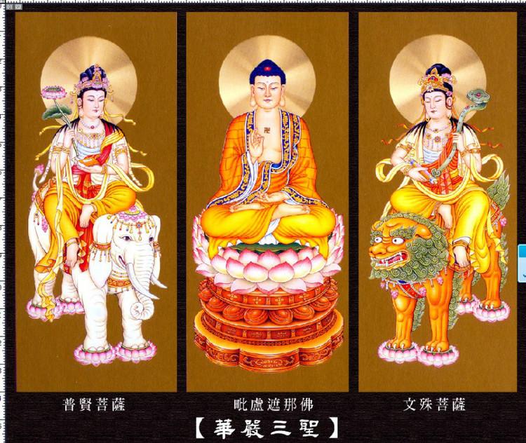 如何从外观上区别各位菩萨