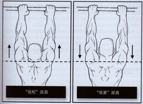 大学生如何锻炼正手做引体向上的能力