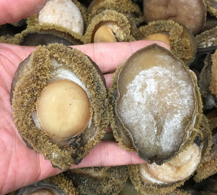 干鲍鱼、海参、花胶等干货水产制品全面放开进口准入！