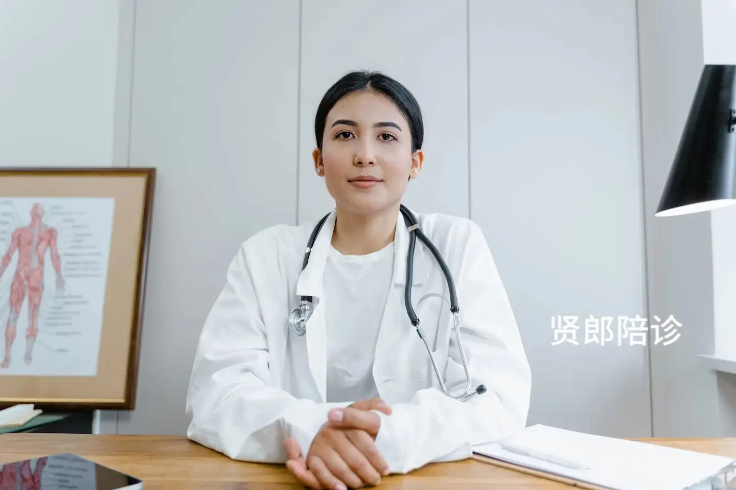关于北京中医药大学第三附属医院住院办理陪诊挂号-高效率服务的信息