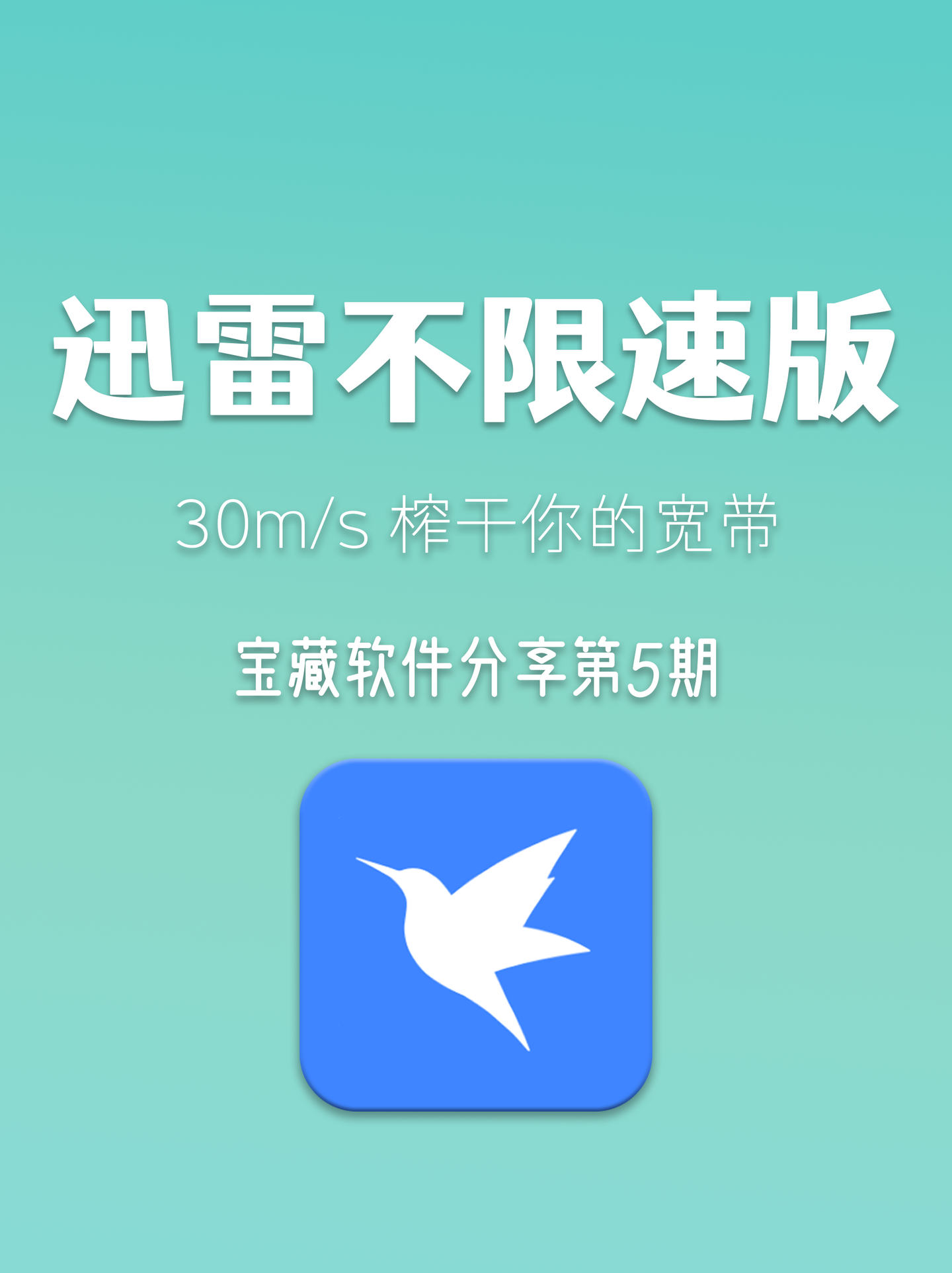 全网最佳一键安装的一个彻底不限速的迅雷版本，纯绿色无需安装。-游龙资源网