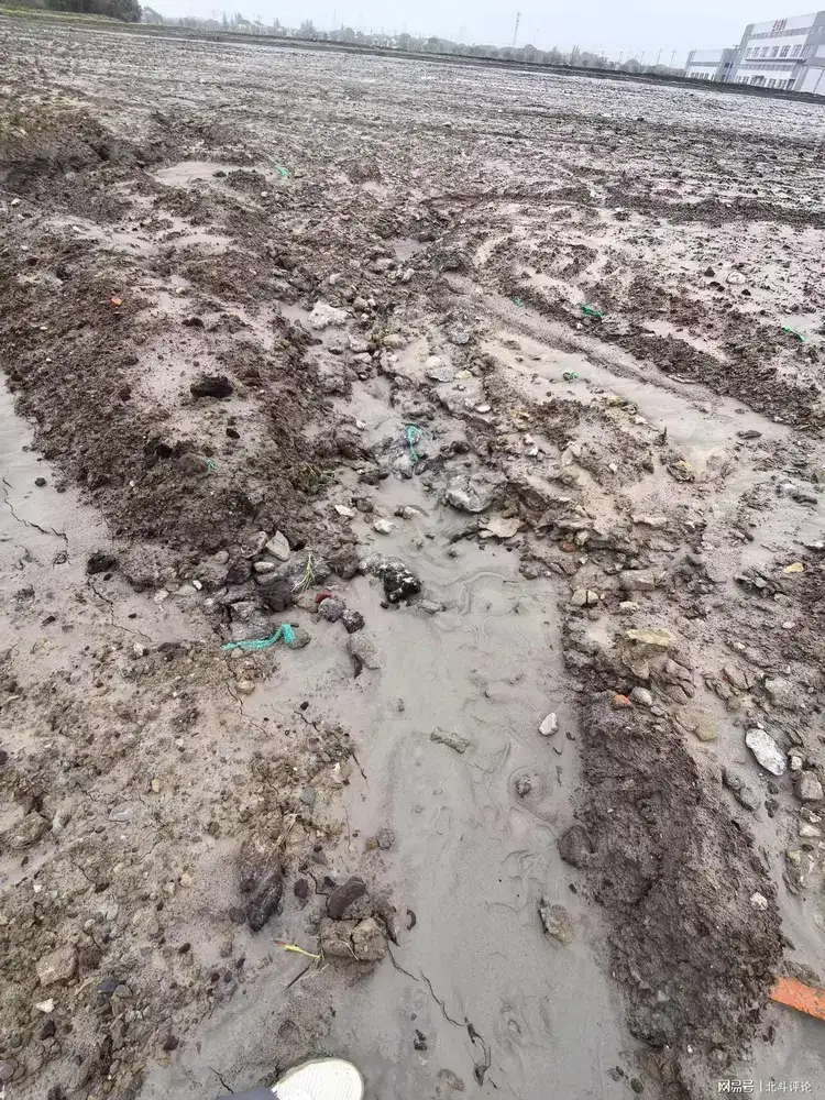 1.6万亩高标“样板”农田骤变垃圾填埋场被曝光 江苏江阴删稿忙