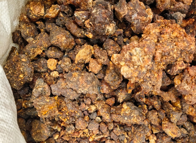 肯尼亚没药上海浦东机场进口报关案例