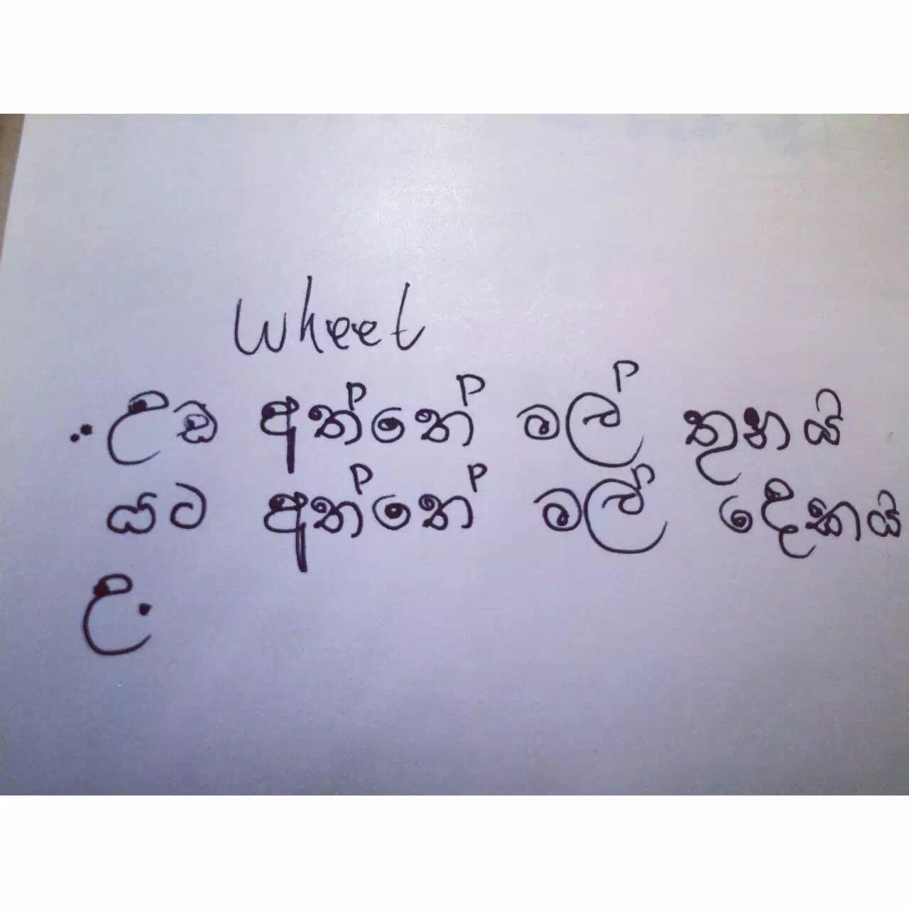 会说僧伽罗语是怎样一种体验