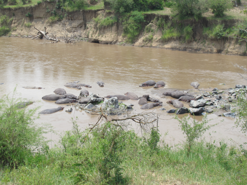 到非洲旅行带 8 岁小朋友同行有哪些需要注意的事项?