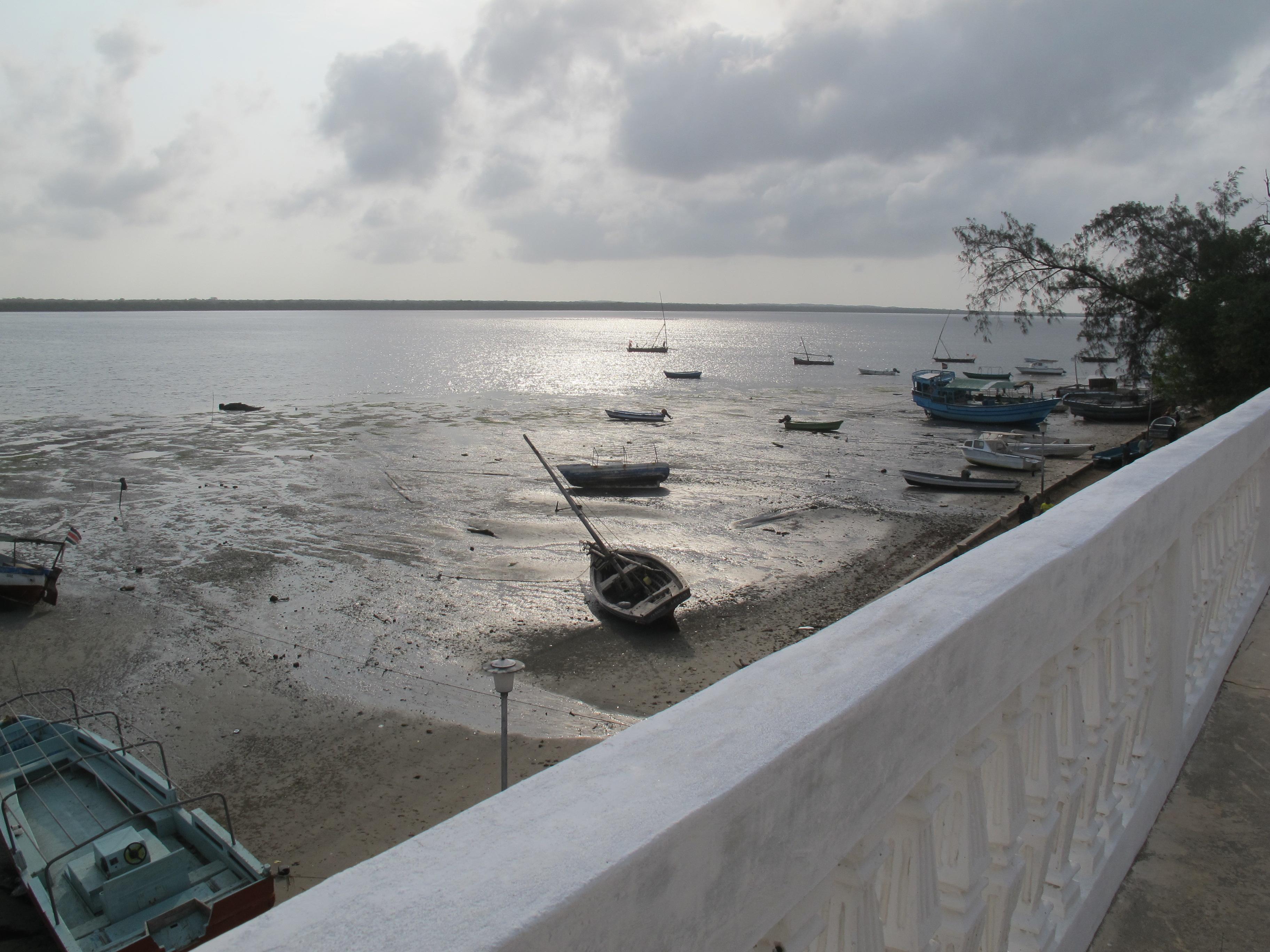 到非洲旅行带 8 岁小朋友同行有哪些需要注意的事项?