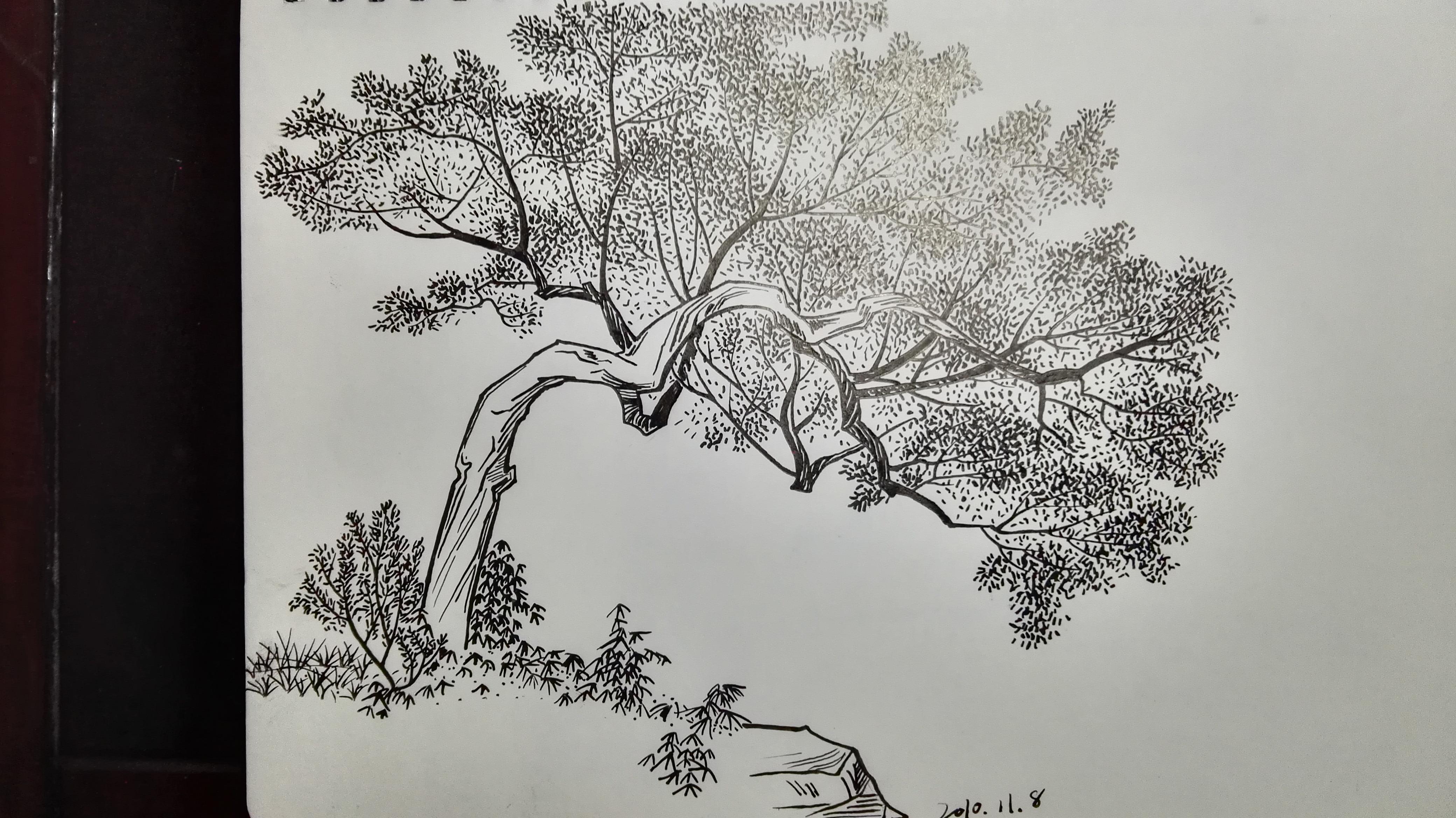 什么书比较适合初学者进行建筑钢笔画手绘线稿的临摹训练