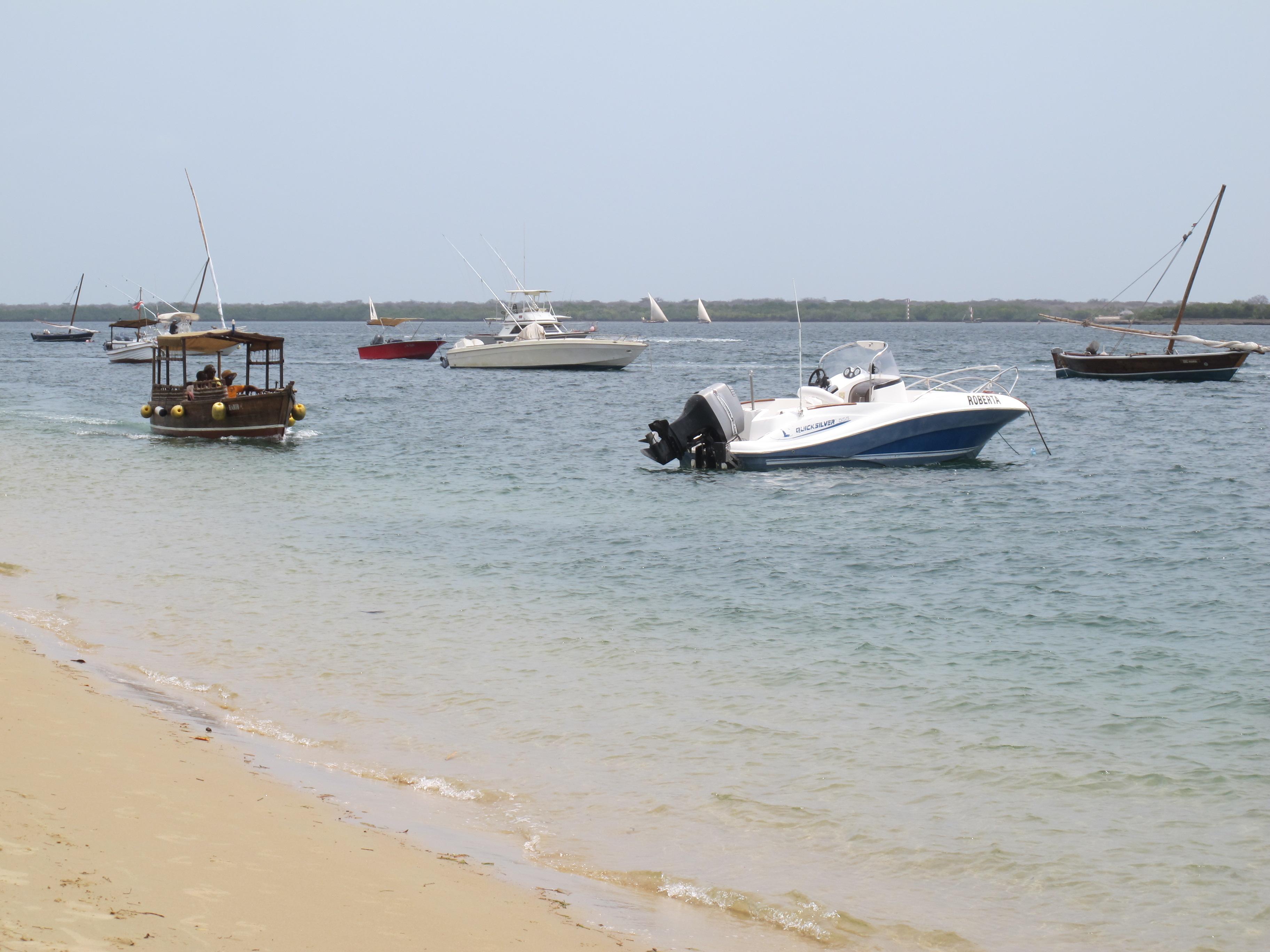 到非洲旅行带 8 岁小朋友同行有哪些需要注意的事项?