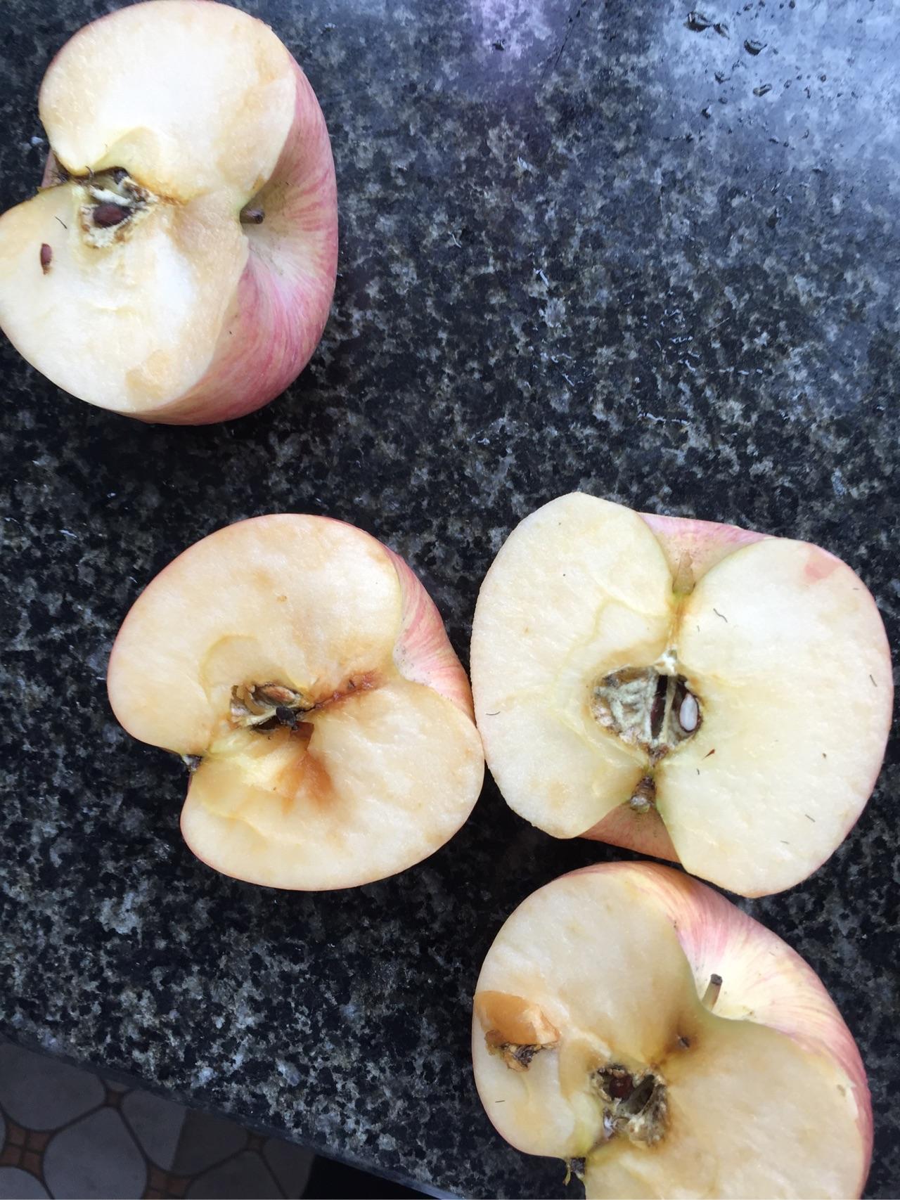 苹果核内有白色绒毛,还能吃吗? - 知乎