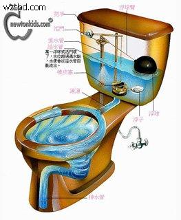 坐便器构造 解剖图图片