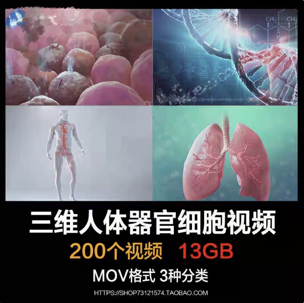 图片[1]-200个三维人体器官细胞视频素材-人体器官血液大脑皮肤病毒骨骼基因经络心脏三维3D动画【电商热销59】-暗冰资源网