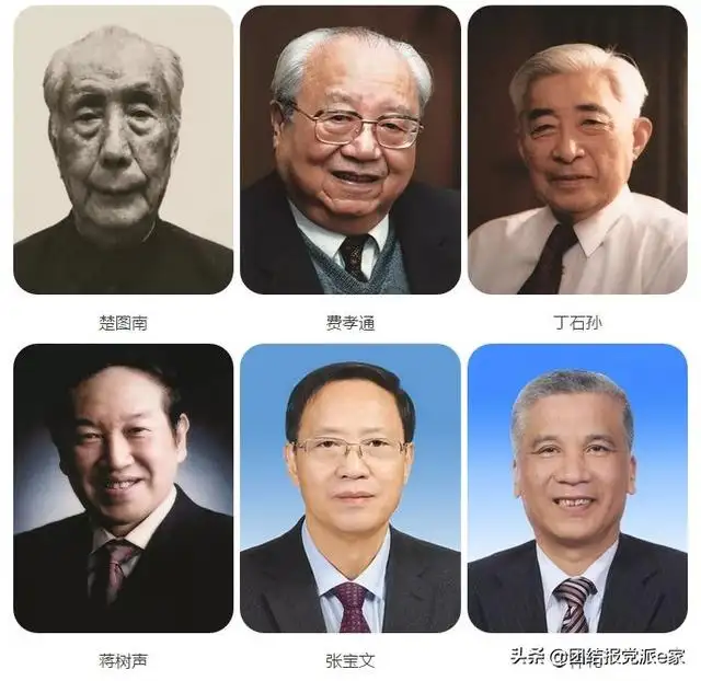 民盟的全称是什么名字（民盟是一个什么样的组织）