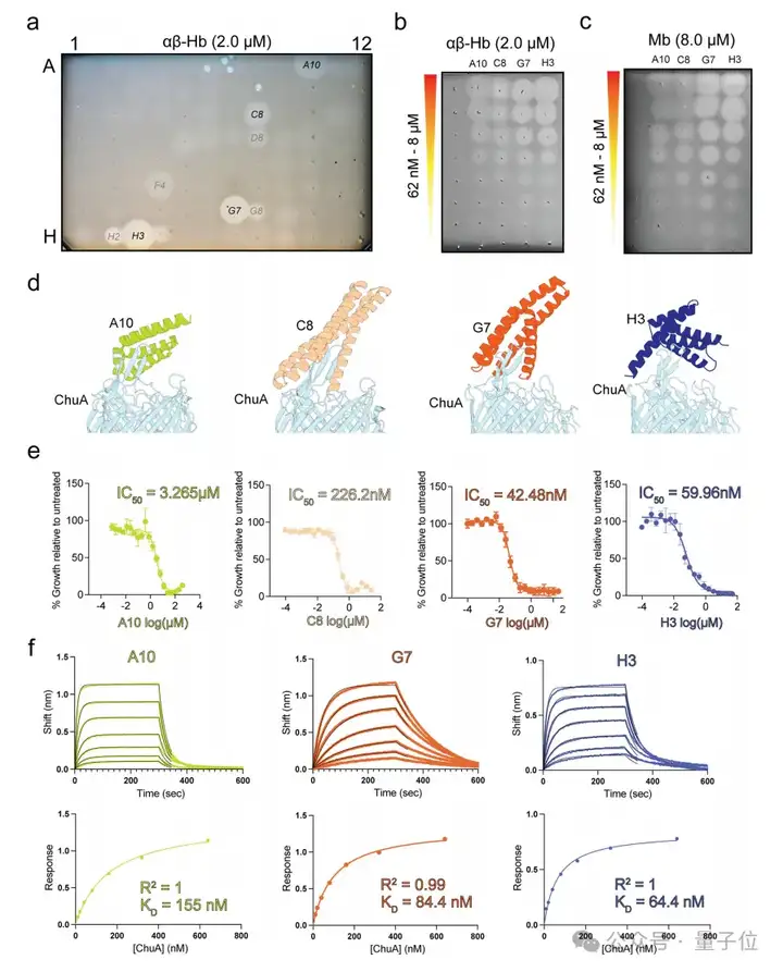 不用抗生素也能抗菌！AI设计新型蛋白质抵御细菌耐药性｜Nature子刊