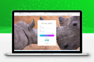 免签码支付源码+监控APP，稳定版-站长源码