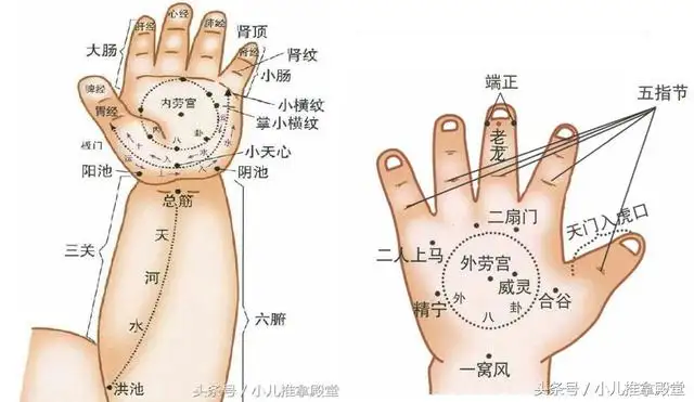 宠常销的8墓什狮式拿手畸，3分帮提桂，报了藕减！(图2)