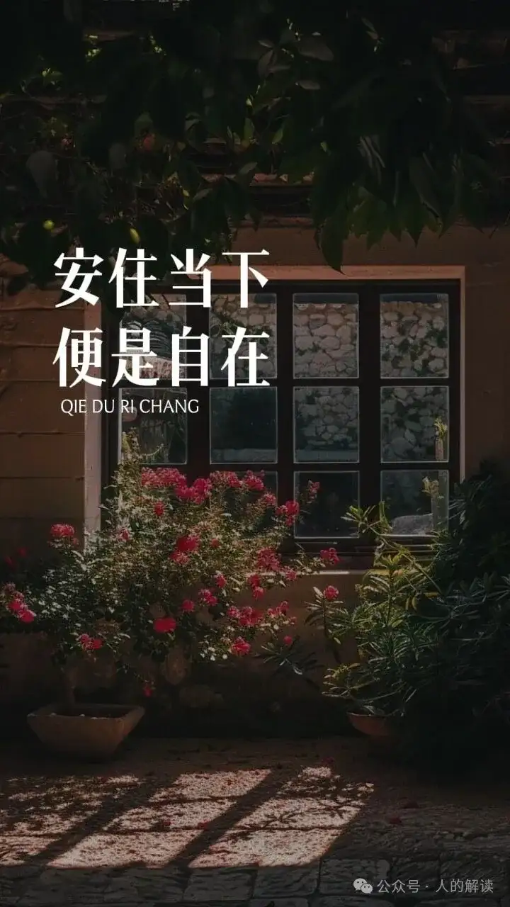 活在当下，就是最好的计划-人的解读