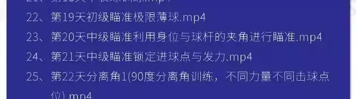图片[8]-羽毛球篮球台球乒乓球全套高清视频教程-打羽毛球乒乓球篮球网球台球视频教程新手入门零基础动作训练课程【电商热销688】-暗冰资源网
