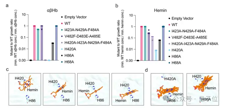 不用抗生素也能抗菌！AI设计新型蛋白质抵御细菌耐药性｜Nature子刊