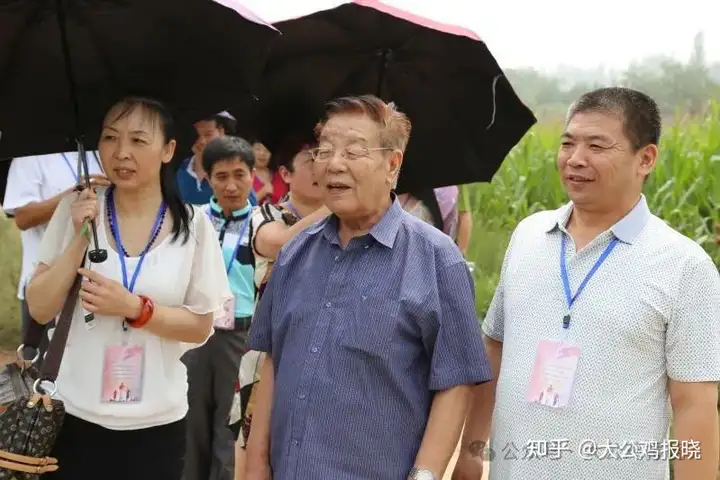 传承中医文化