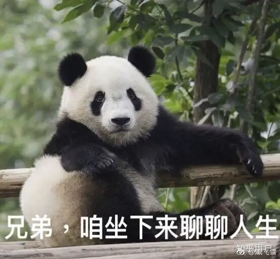 如何跟团欧洲游？