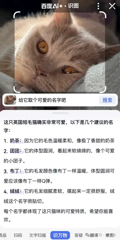 百度搜索近10年最大改版，自己革自己的命？