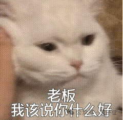 一份假简历领5份硅谷AI工资，印度老哥真是不得了