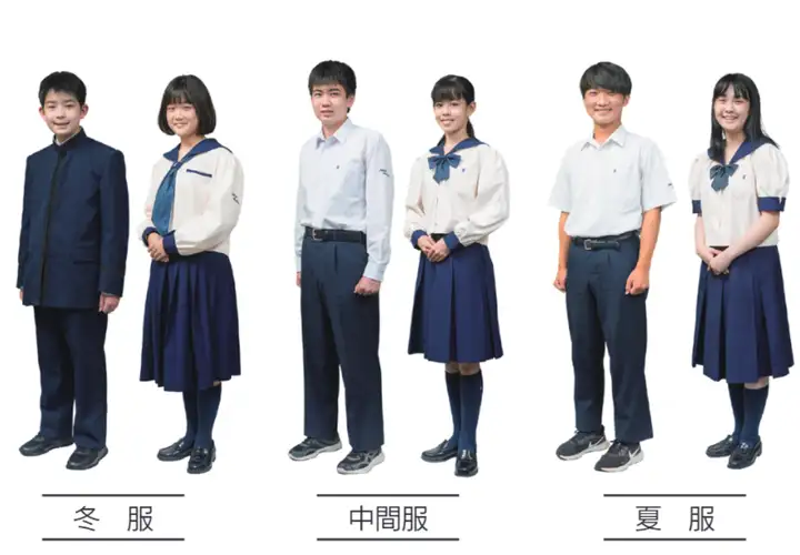 请输入图片描述