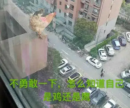 和巴菲特共进午餐的孙宇晨是谁?
