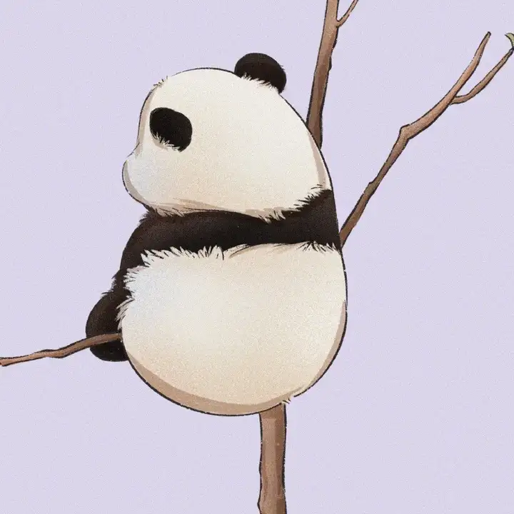 有没有什么惊艳的微信头像？