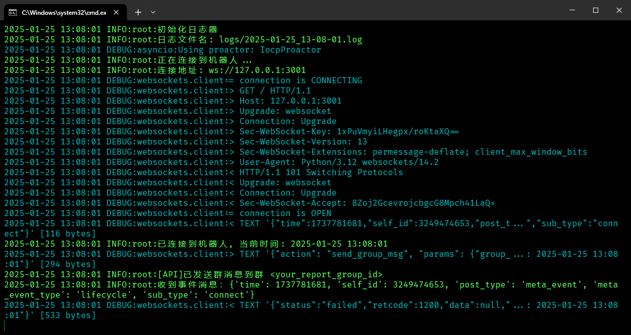 image-20250125130820179