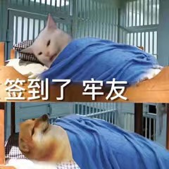 Shopee运营干货：虾皮选品哪些品类最赚钱？传说电商的“黑五类”究竟是什么+爆利揭秘？