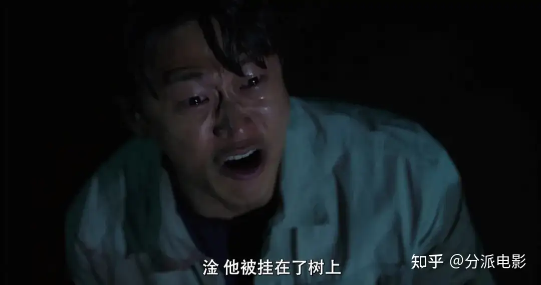 《杀木地》韩国恐影票房第一，也就这水平？